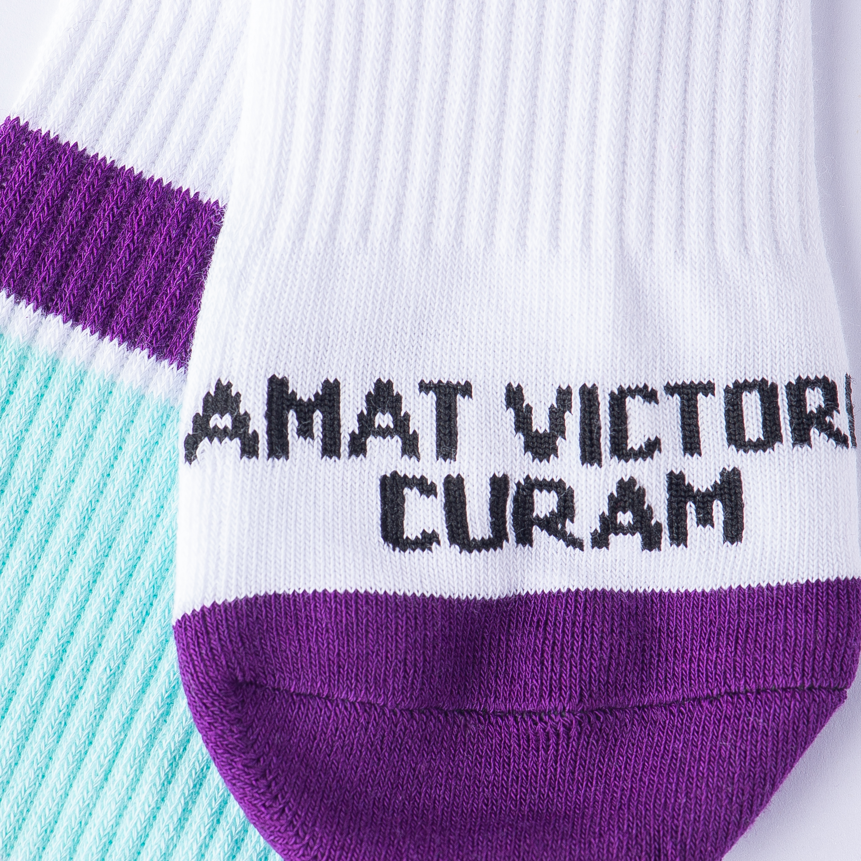 AMAT VICTORIA CURAM 2